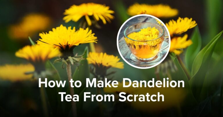 How to Make Dandelion Tea From Scratch